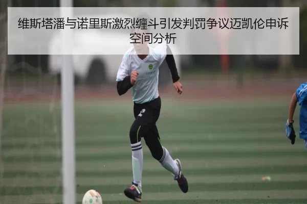 维斯塔潘与诺里斯激烈缠斗引发判罚争议迈凯伦申诉空间分析